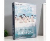 Шкатулка в виде книги «Пингвины»
