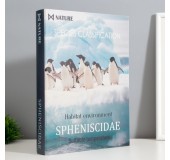 Шкатулка в виде книги «Пингвины»