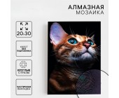 Алмазная мозаика с частичным заполнением «Взгляд кошки»