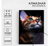 Qismən doldurmalı almaz mozaika «Pişiyin baxışı»