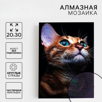Алмазная мозаика с частичным заполнением «Взгляд кошки»