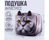 Подушка антистресс "Котик"
