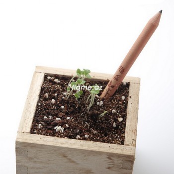 Растущие карандаши Sprout