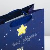 Пакет подарочный «Моей звёздочке»