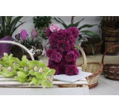 Мишка Teddy из живых цветов